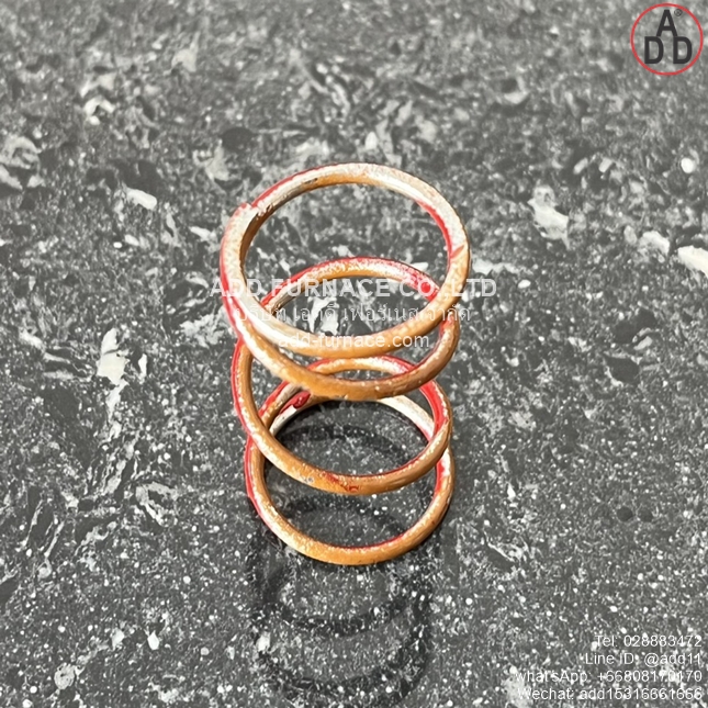 JSAV 50-100 Spring 60-170mbar (5)